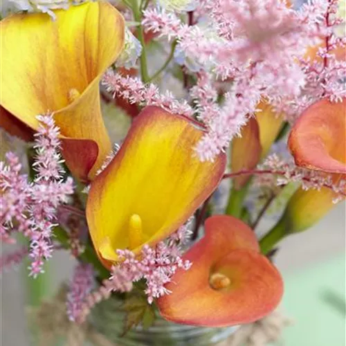 Lange Haltbarkeit für Blumensträuße