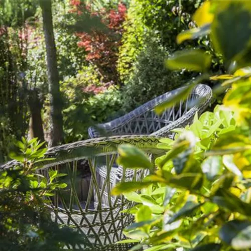 Die Terrasse in einen Garten verwandeln