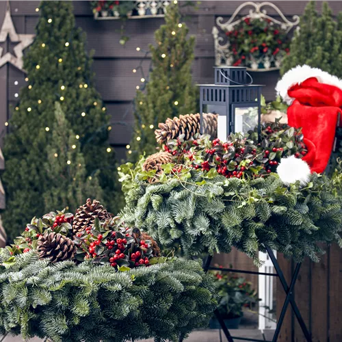 Gartentipps im November