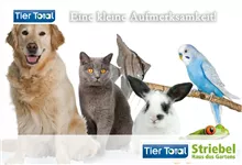 Online Gutschein