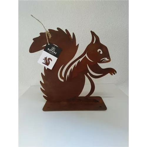 Eichhörnchen
