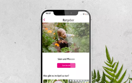 Ratgeber_App.png