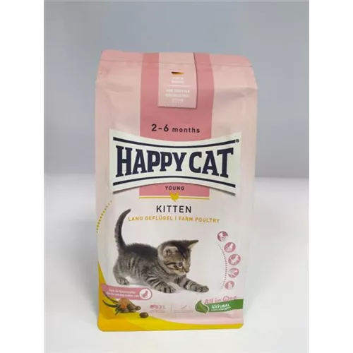 Happy Cat 
