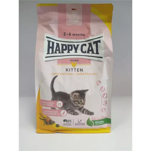 Happy Cat 