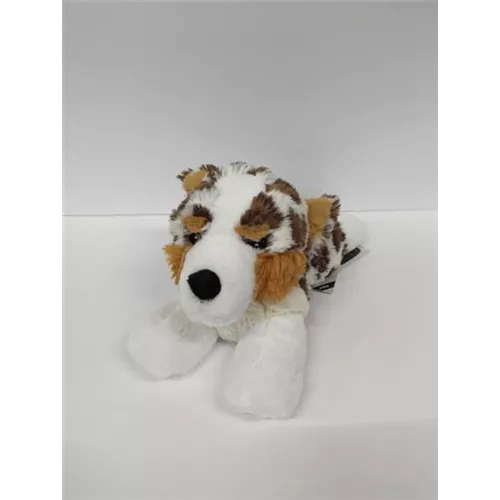 Australian Shepherd